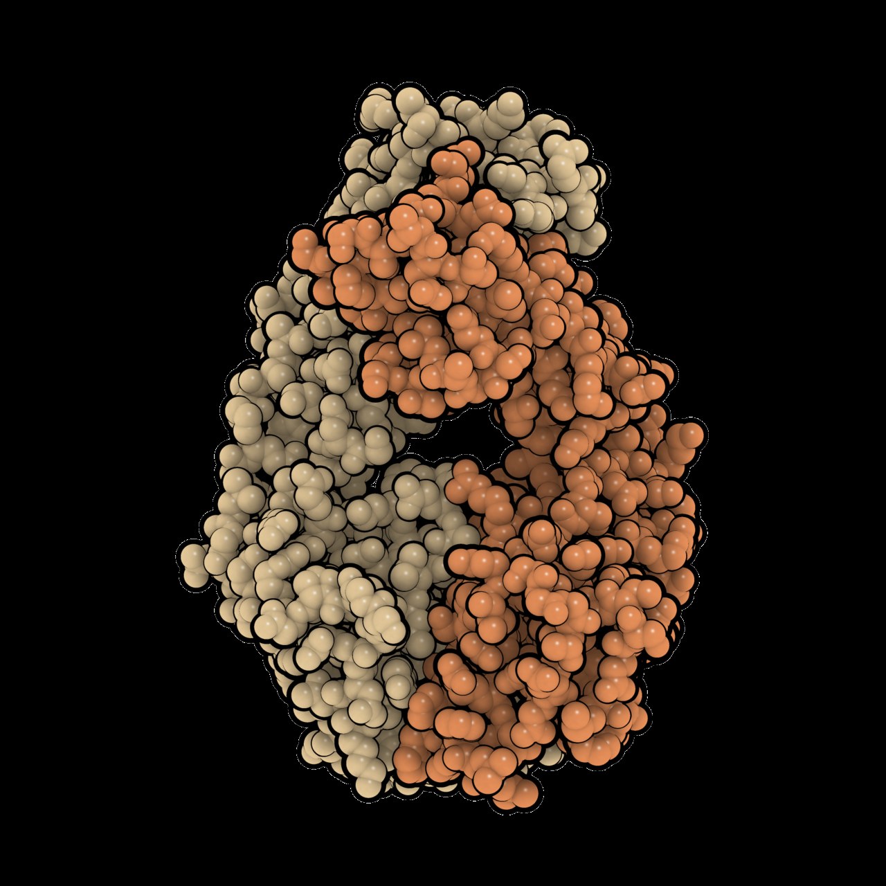 Lupus (Sistemik Lupus Eritematozus): Bağışıklık Sisteminin Çıldırma Halleri (Otoimmün Savaşlar)