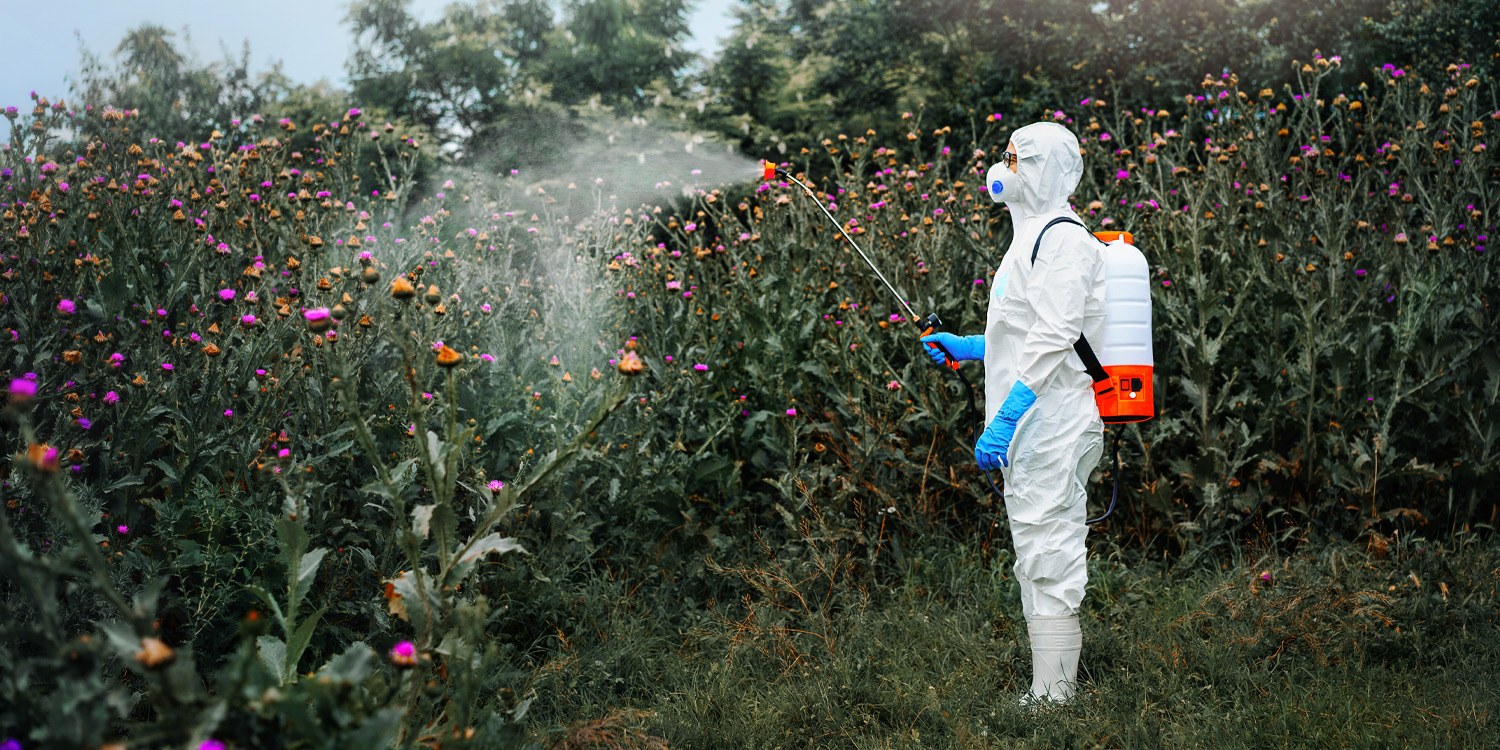 İş yerinde yaşanan böcek ilacı maruziyeti, ALS riskini artırıyor