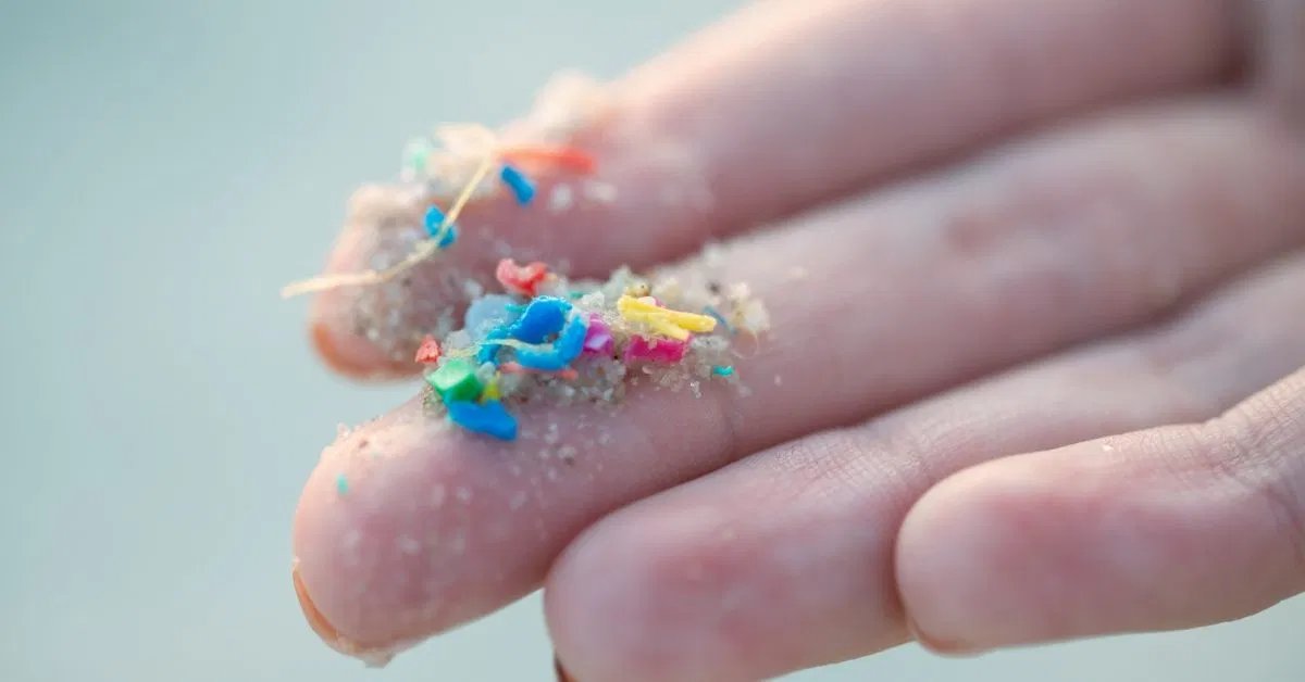 Sık görülen paketleme mikro plastik, yağlı karaciğer hasarını daha kötüleştirebilir, araştırma gösteriyor