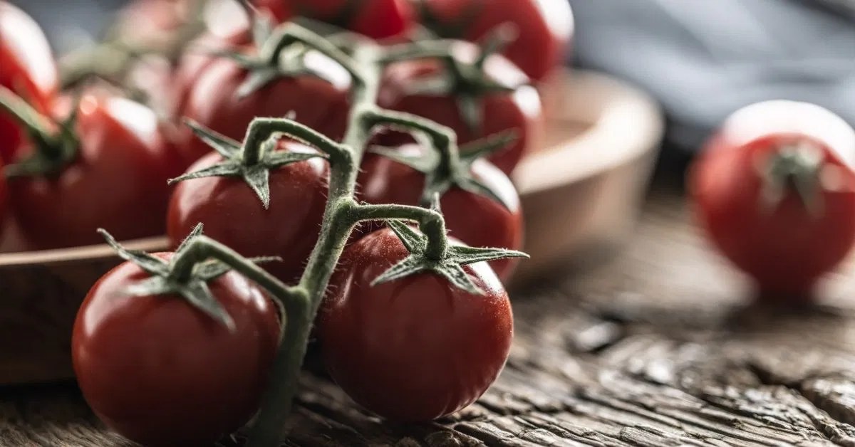 Domatesin Düzenli Tüketiminin Karaciğerdeki Yağ Birikimini Azaltabileceğine Dair Yeni Araştırma