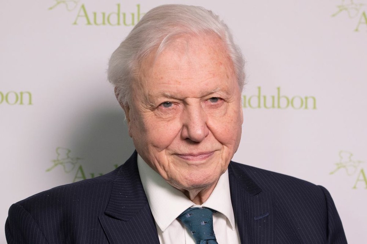 Dünya Nereye Gitse, Attenborough'nun Doğal Tarih Belgesellerini Kaçırmayın: En İyi VPN Teklifleriyle