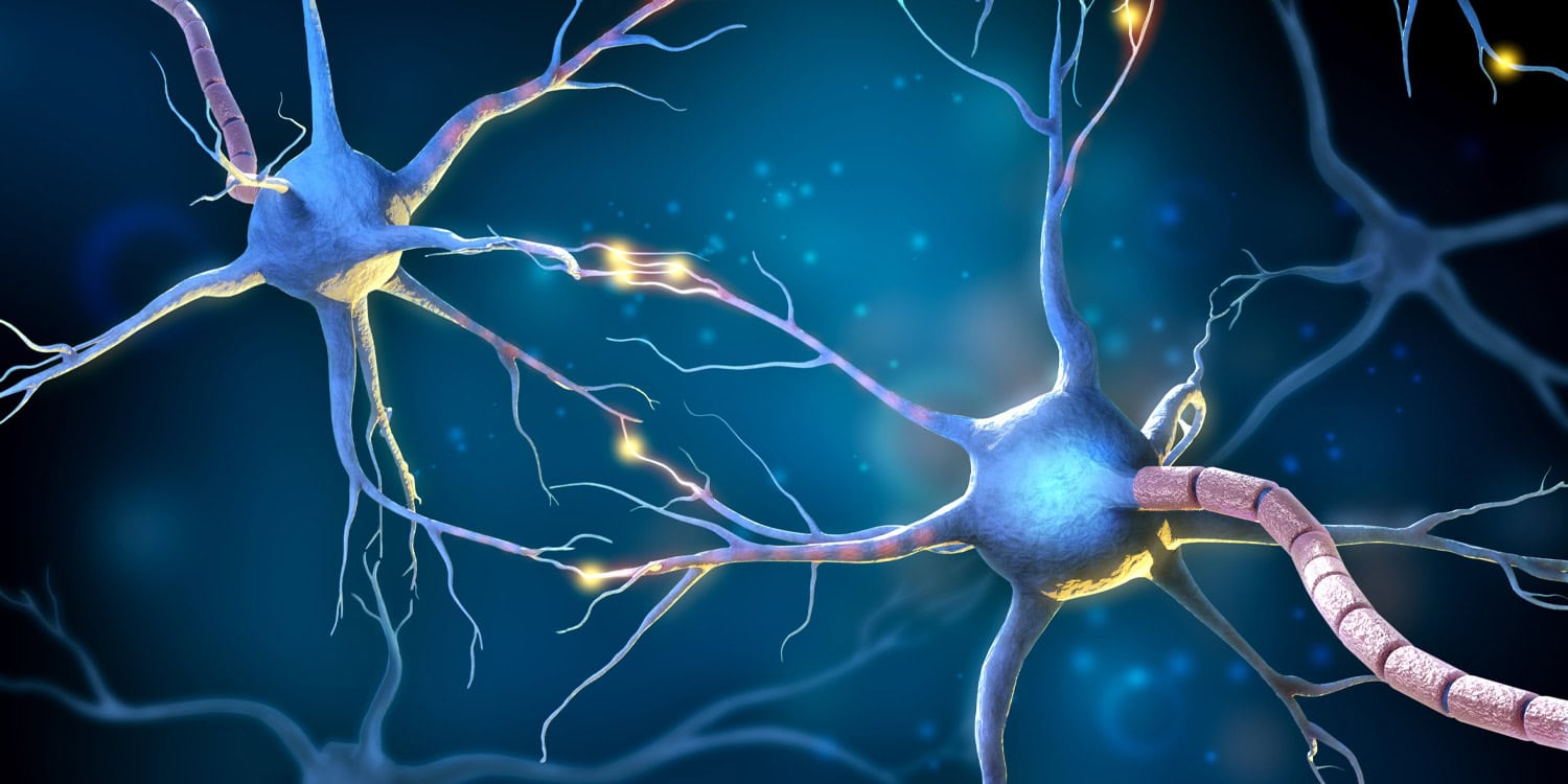 Yeni Araştırma: Alzheimer ve Frontotemporal Demans'ın Genetik İşaretleri Beyindeki Vesiküllerde Ortaya Kondu
