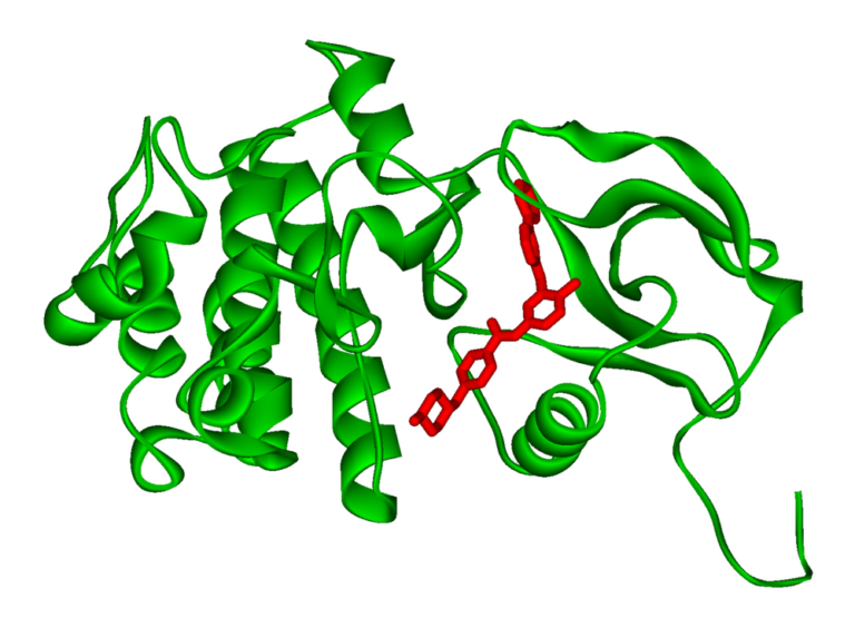 İmatinib molekülünün BCR-ABL tirozin kinazın ATP bağlama cebine kilitlendiği PDB 1IEP kristal modeli