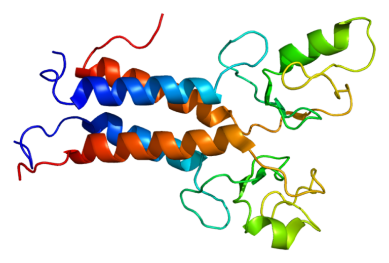 BRCA1 proteininin BARD1 ile heterodimer oluşturduğu RING parmak domaini kristalografik yapısı