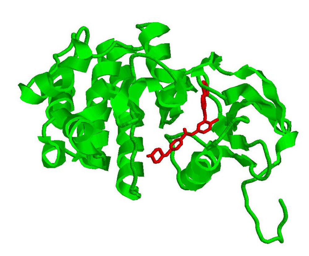 İmatinib ile enzim amino asit kalıntıları arasındaki hidrojen bağları ve van der Waals temas yüzeyi