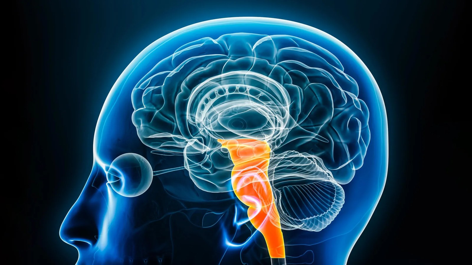 Breakthrough brain discovery reveals a natural way to relieve pain