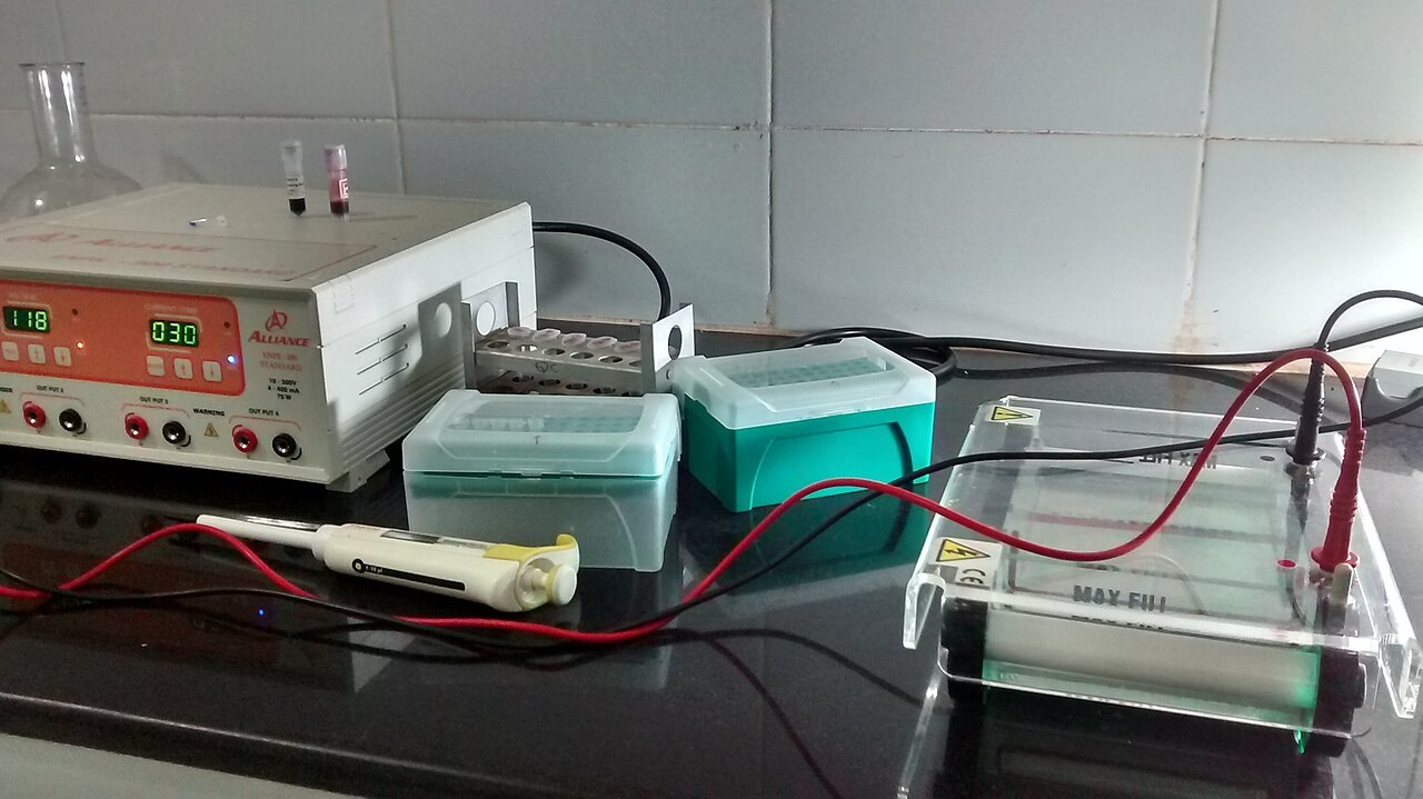 Pancreatik Kanser'in Koruyucu Kalkanını Zayıflatan Yeni Bir Yaklaşım Klinik Deneye Adım Atıyor