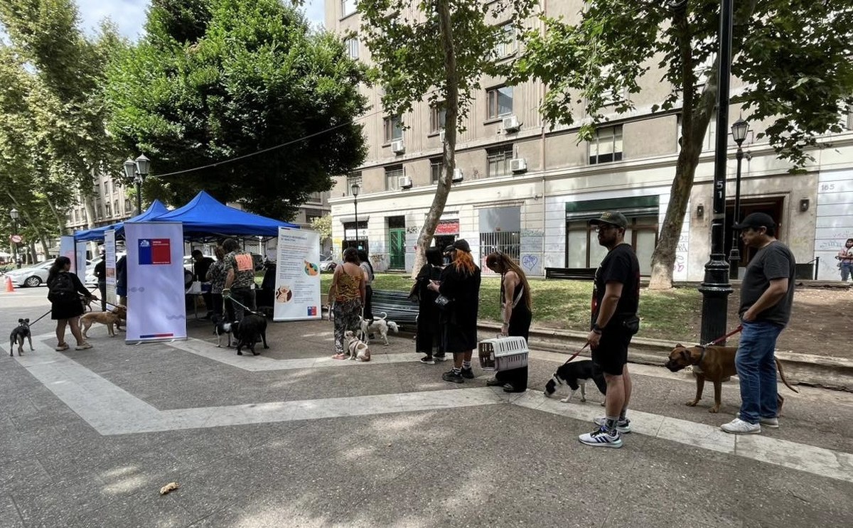 Chile becomes first country in South America validated for eliminating dog-transmitted rabies as a public health problem