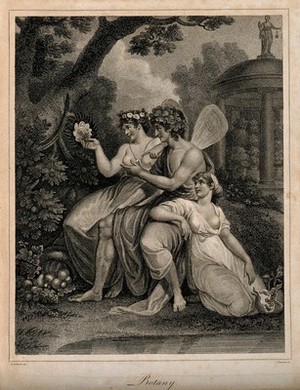 Three fairies in a garden looking at the plants; representing botany. Stipple engraving by J. Chapman after R. Corbould. - Wellcome Tıp Tarihi Kütüphanesi