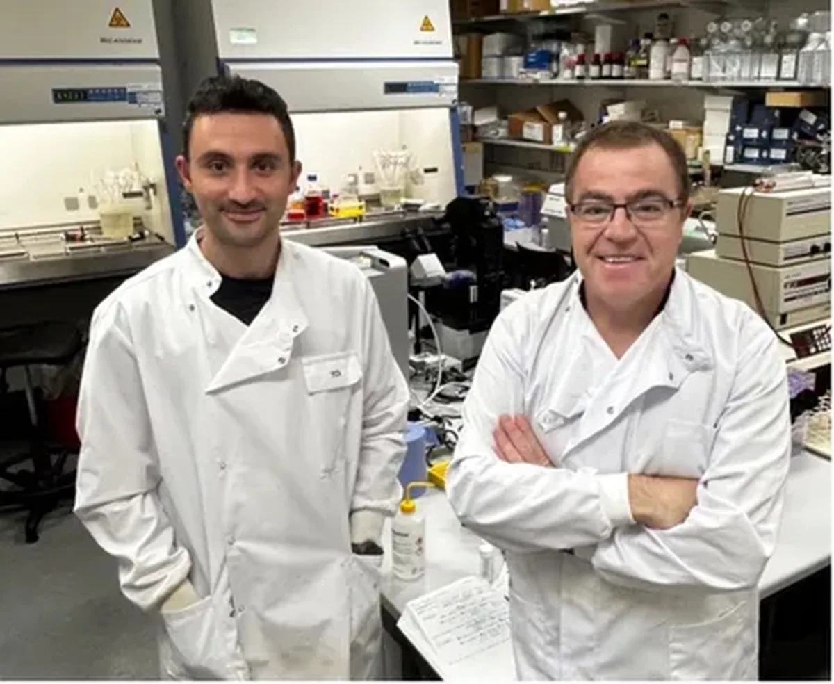 How Cancer Cells Dodge Drug-Induced Death by Entering a Zombie-Like State