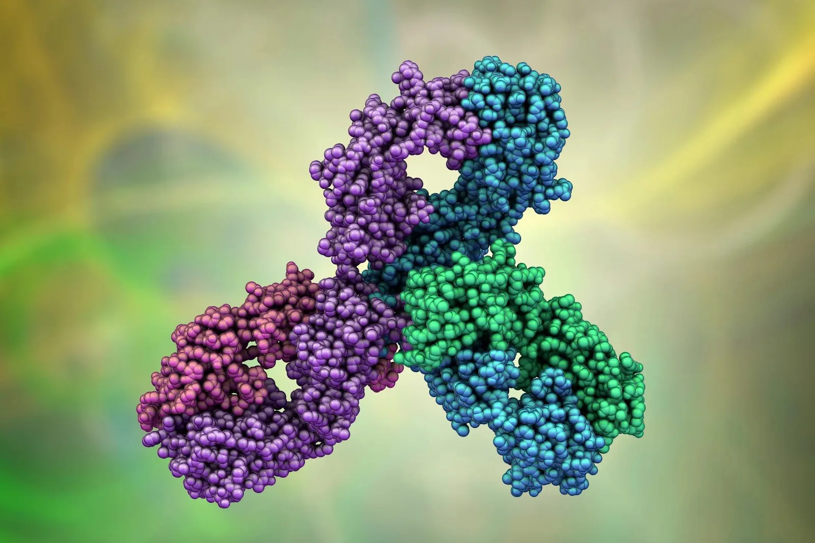 Molecular model of Pembrolizumab | Image Credit: © Dr_Microbe - stock.adobe.com