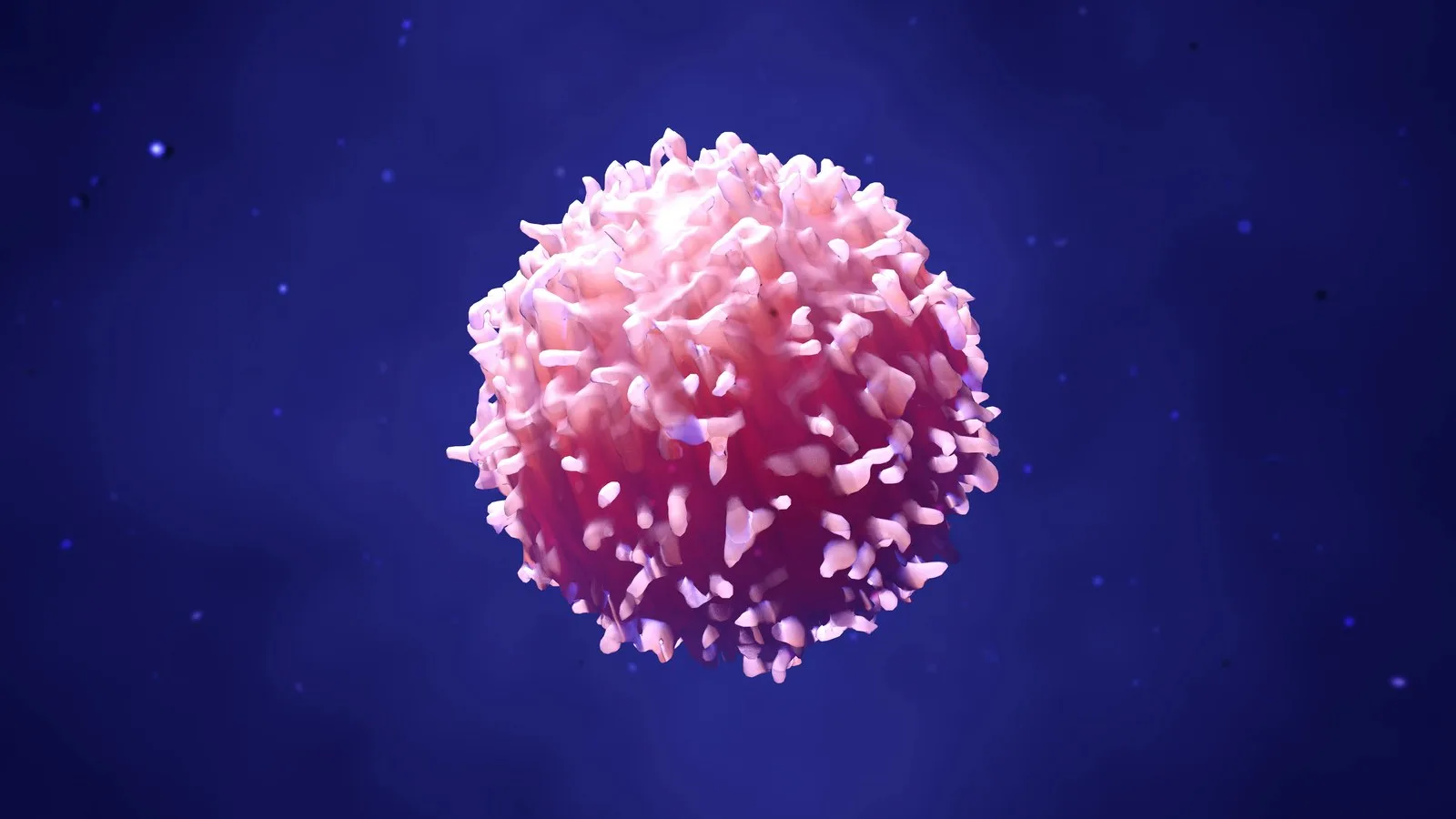 illustration lymphocytes, t cells or cancer cells | Image Credit: © Design Cells - stock.adobe.com