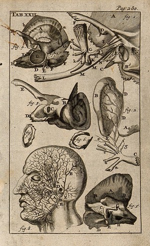 1686'dan Kulak Anatomisine Bir Bakış: Bakır Gravin'in Sessiz Şifası