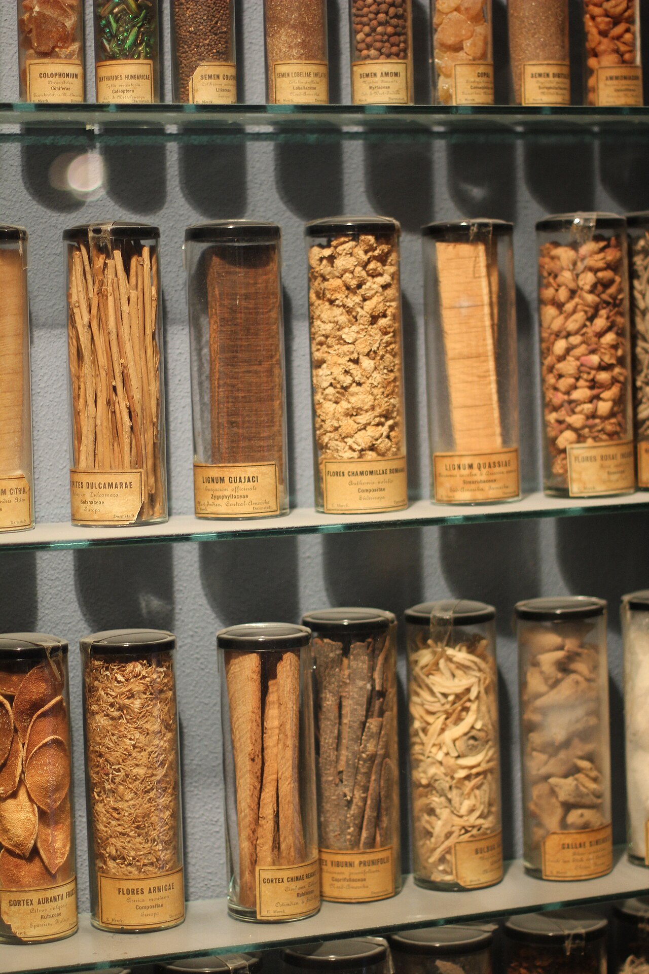 A selection of antique herbal medicines