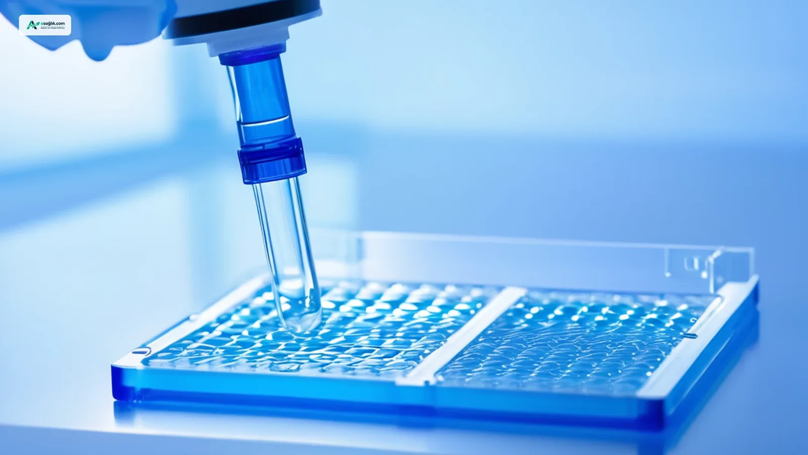 Çok kanallı mikropipet ve test plakası detayı